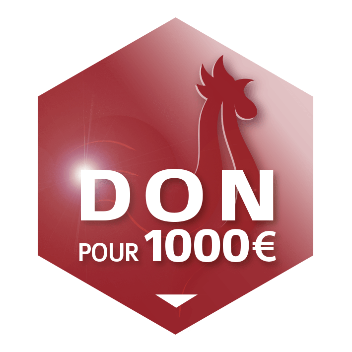 DONS-CNIP-1000