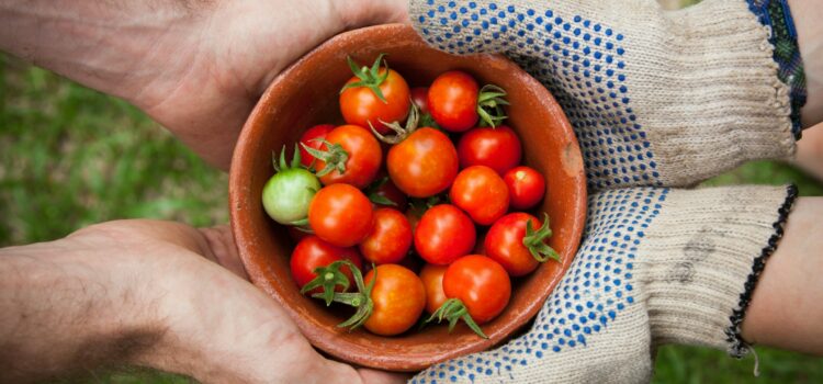 L’Agriculture française a-t-elle un avenir ?